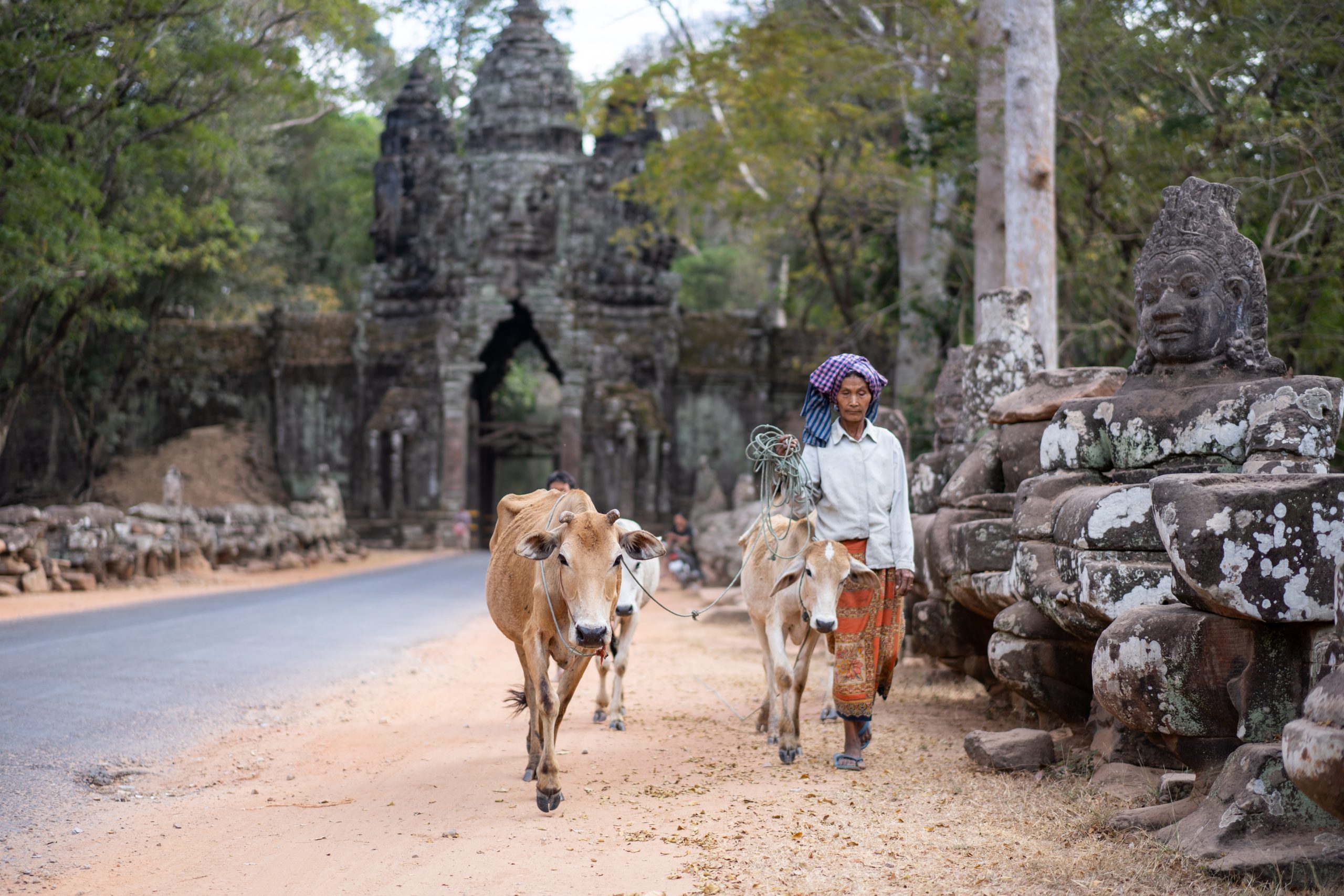 We Know Microfinance Harms Cambodia’s Poor. What Can Be Done About It?