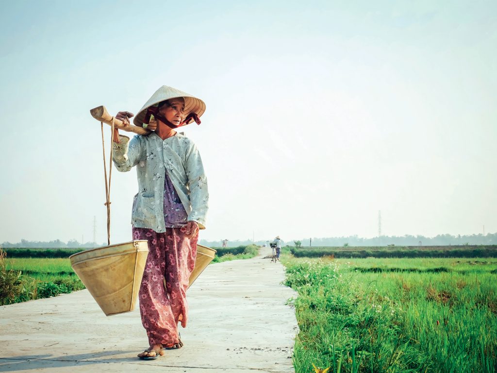 Is Vietnam’s Economic Blip a Blessing in Disguise?